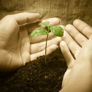 IGNITE: Dead Or Alive (Revelation 3:1-6)